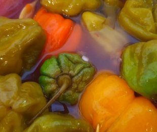 Na zdjęciu kiszone papryki habanero